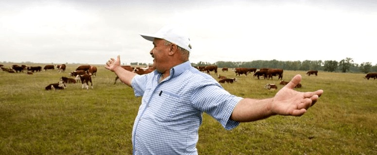 У фермеров Златоуста начинается уборочная страда