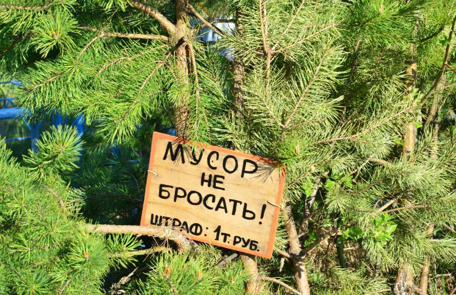 Мусорщиков будут штрафовать