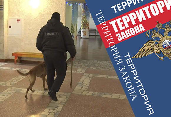 Спектакль в театре начинается с обследования на предмет безопасного посещения