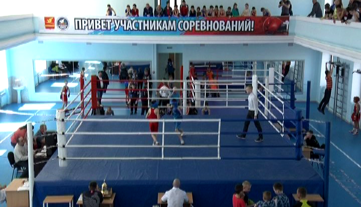 Юные златоустовские боксеры стали главными героями традиционного турнира на призы Василия Полякова