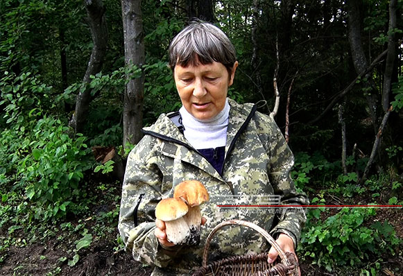 Пора в лес за грибами. В национальном парке «Таганай» начался сезон «тихой охоты»