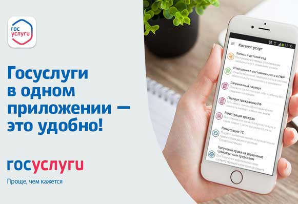 Подтвердить основной вид деятельности страхователя можно через Госуслуги